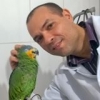 Depoimento de Luis Andre Miguel Sena para Cursos Vet Br