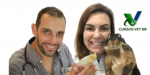 Cirurgias de Rotina em Animais Silvestres e Exóticos