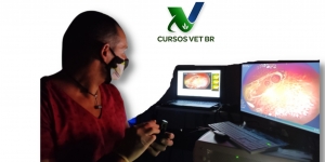 Endoscopia Veterinária - Aparelho Respiratório