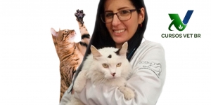 Doença Renal Crônica em Gatos e a importância da Terapia Nefroprotetora