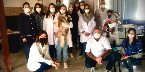 Ultrassonografia de Rotina na Clínica de Pequenos Animais - 100% prático