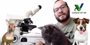 Interpretação Clí­nica do Hemograma em Cães e Gatos