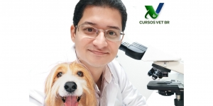 Dermatologia na Clínica de Cães e Gatos