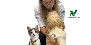 Laserterapia em Pequenos Animais