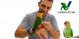 Técnicas de Aplicação de Bandagens Ortopédicas em Aves