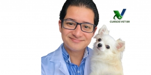 Dermatologia Veterinária para Clínicos de Pequenos Animais