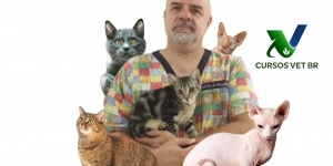 Clínica Médica de Felinos