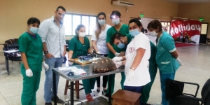 Curso Intensivo de Cirugia en Lagomorfos, Roedores Y Reptiles