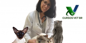 Clínica Médica de Felinos - Vacinação e Terapêutica