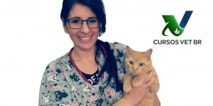 Intensivo em Medicina de Felinos