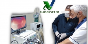 Videoendoscopia em Pequenos Animais e Animais Silvestres