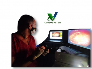 Endoscopia Veterinária - Aparelho Respiratório