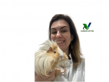 Clínica Médica e Cirurgia em Pets Não Convencionais