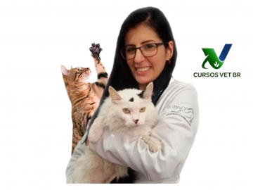 Doença Renal Crônica em Gatos e a importância da Terapia Nefroprotetora