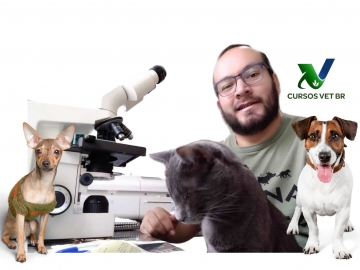 Interpretação Clí­nica do Hemograma em Cães e Gatos