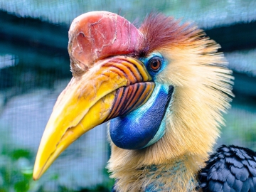 Taller sobre Manejo de Animales de Exoticos y Silvestres