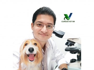 Dermatologia na Clínica de Cães e Gatos