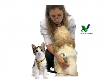 Laserterapia em Pequenos Animais