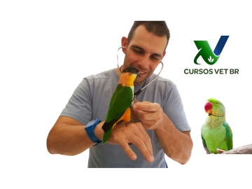 Técnicas de Aplicação de Bandagens Ortopédicas em Aves