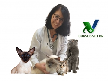 Clínica Médica de Felinos - Vacinação e Terapêutica