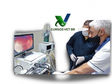 Videoendoscopia em Pequenos Animais e Animais Silvestres